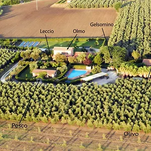  Ferienhaus Podere Campi Al Mare